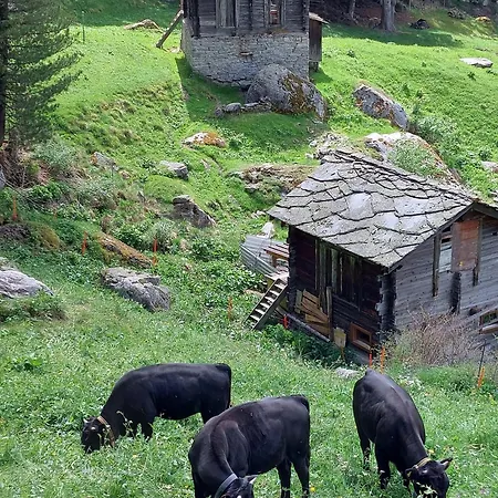 B&B Alpenroesli Gasenried Kamer foto