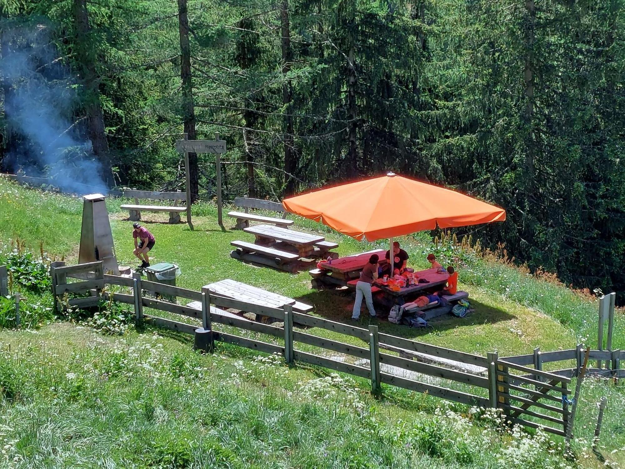 Alpenroesli Gasenried